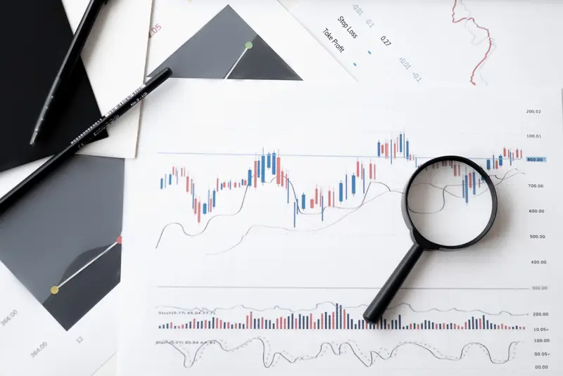 Financial statements and analysis charts prepared proactively for a client